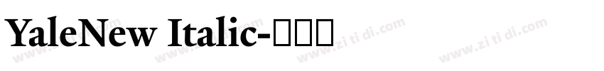 YaleNew Italic字体转换